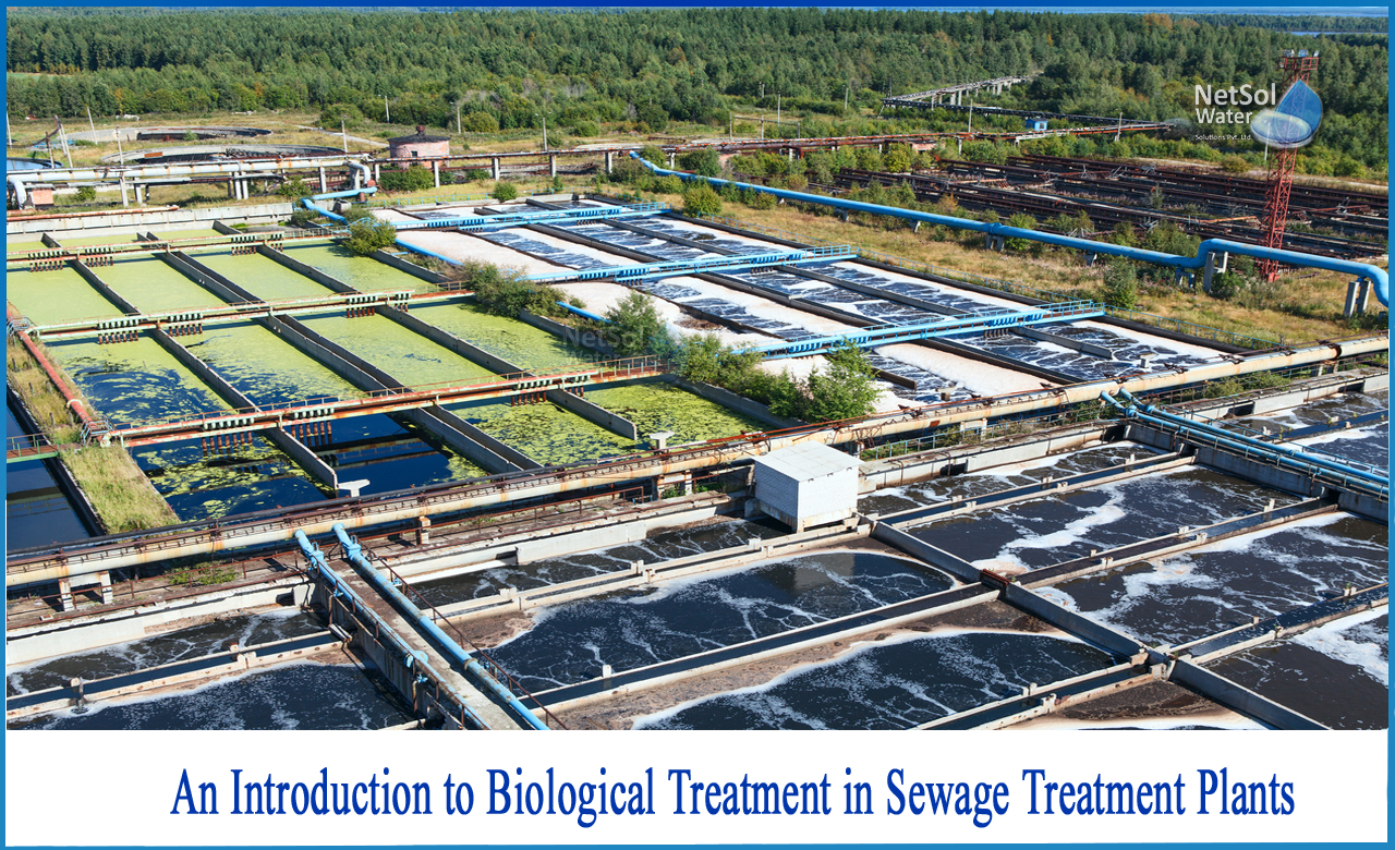 biological treatment of wastewater, the purpose of biological treatment of wastewater is to, biological sewage treatment plant